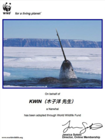 1528022993103791.png image.png